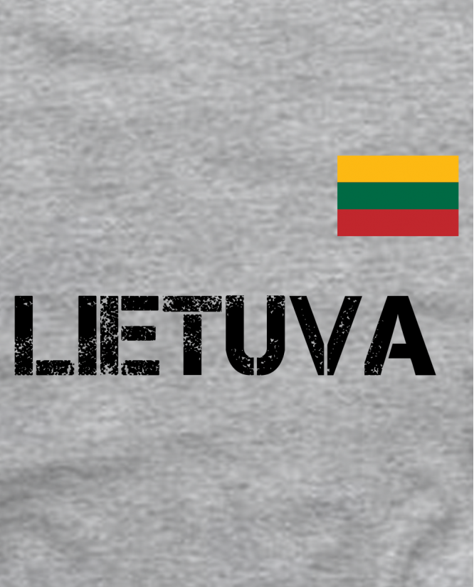 Lietuva vėliava 